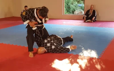 Kempo: The Martial Art of Adaptability