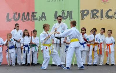 Stick Fighting: Ancient Skill, Modern Discipline